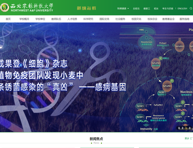 西北农林科技大学