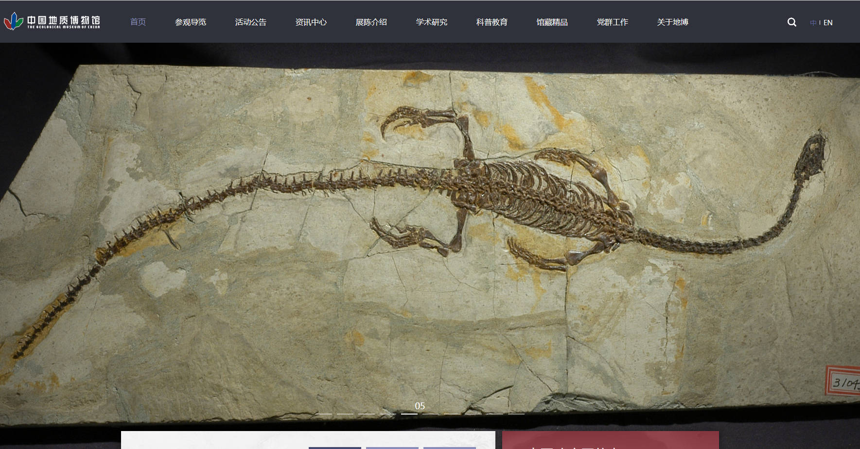 中国地质博物馆